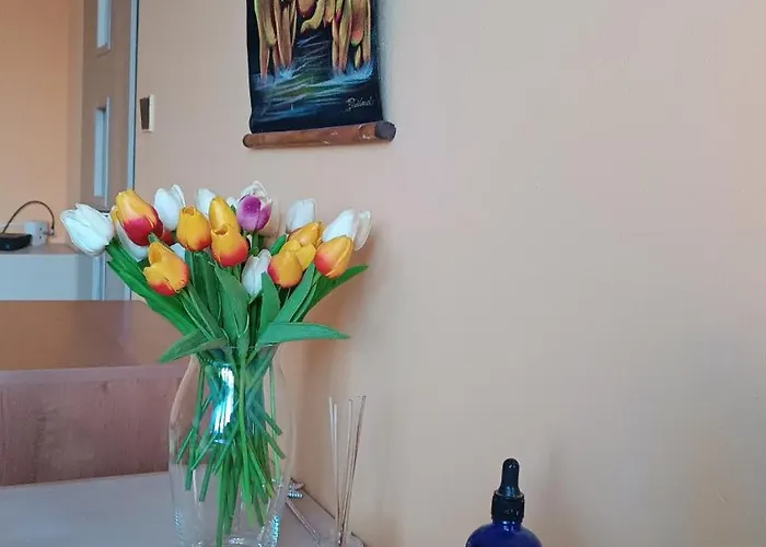 Marko דירה קושיצה